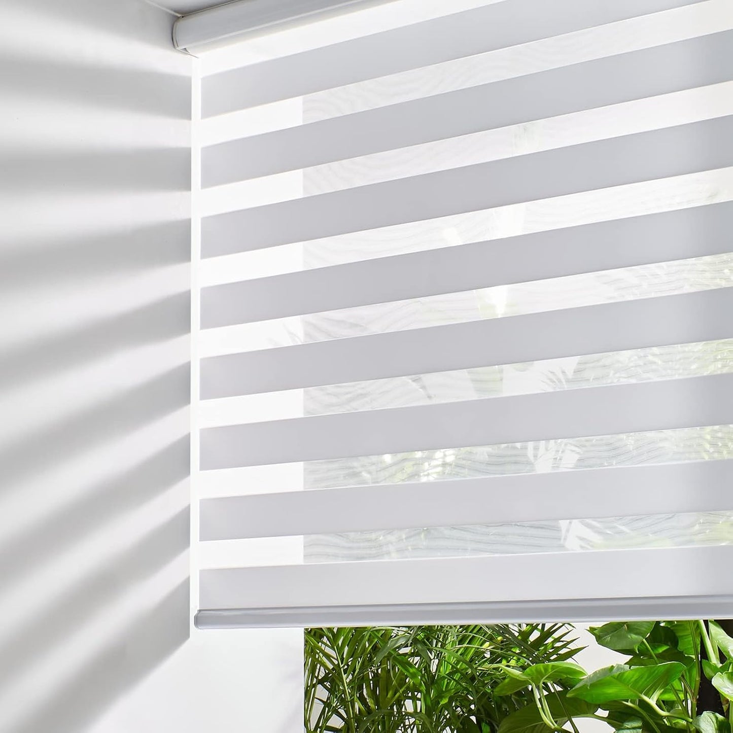 Persilux Cordless Zebra Blinds for Windows, Light Filtering Roller Shades for Windows (67" W x 72" H, White) Light Control for Day and Night, Light Filtering Sheer Shades for Home, Office, Bedroom