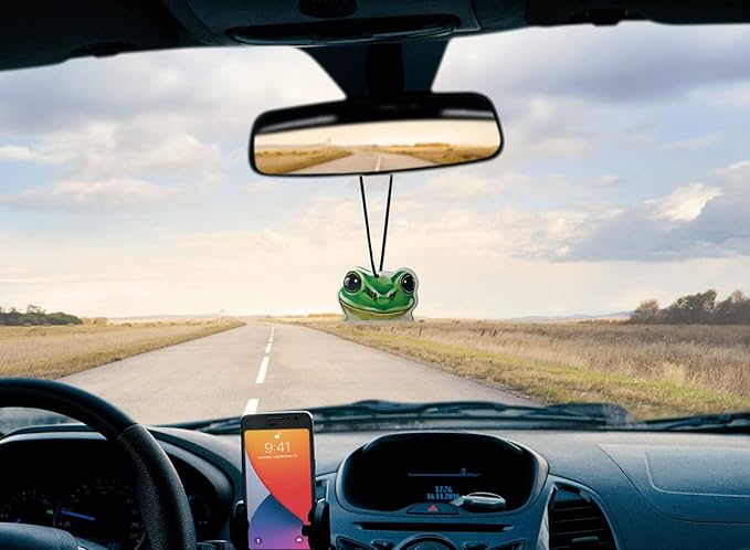 WIRESTER Hanging Air Freshener for Car, Home, Bathroom, Office, Decorative Charm Ornaments, Green Frog