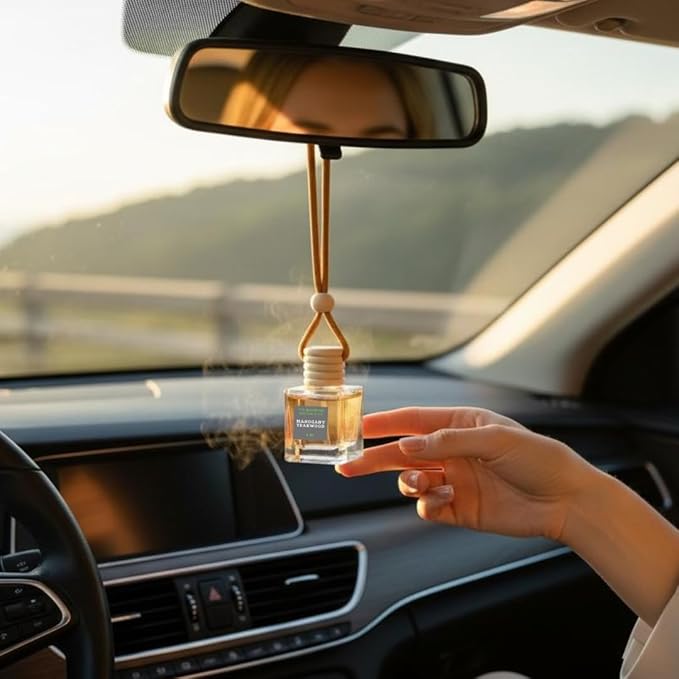 2 Long-Lasting Fragrance Air Freshener - Car or Small Room Hanging Freshener - Phthalate Free Fragrance (Mango & Coconut)
