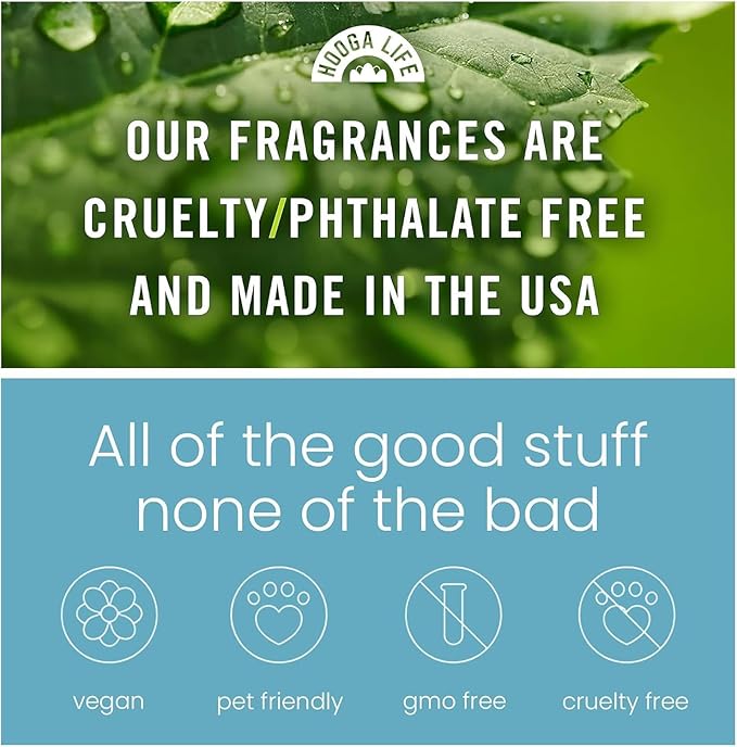 HoogaLife Car Air Freshener Diffuser 2 Pack Hanging Air Freshener Diffuser - Forest Pine Fragrance Oil Air D iffuser for Car, 45+ Days Long Lasting Fragrance Made in USA (F13)