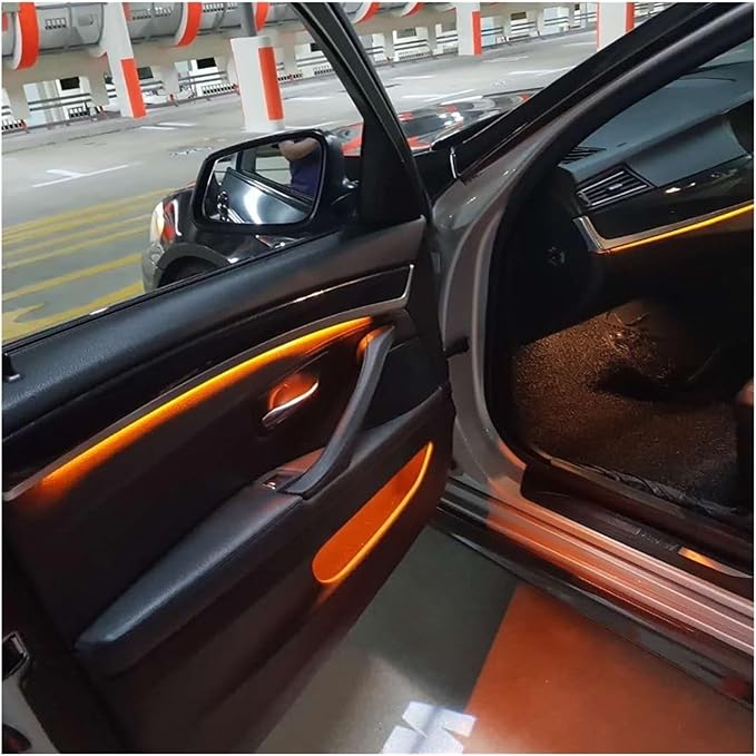 2 Colors Interior Led Stripe Decorative Door Ambient Light Compatible with BMW 5 Series F10/f11(Grey Door Cups Ctrl)