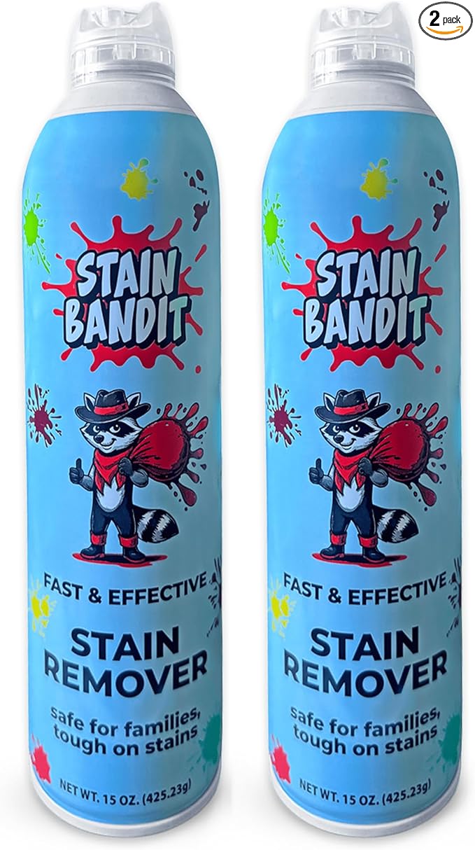 Stain Remover Spray | Non-Toxic Stain Remover Family Safe Formula | Bag-On-Valve 360° Continuous Spray Bottle | Cleaner for Clothes, Upholstery, Carpet & Car Seats 15 Oz, (Pack of 2)