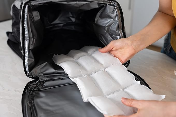 Nice Packs Reusable Dry Ice Packs for Shipping Frozen Food, Coolers, Lunch Boxes - Flexible and Long Lasting (10 Mini Sheets)