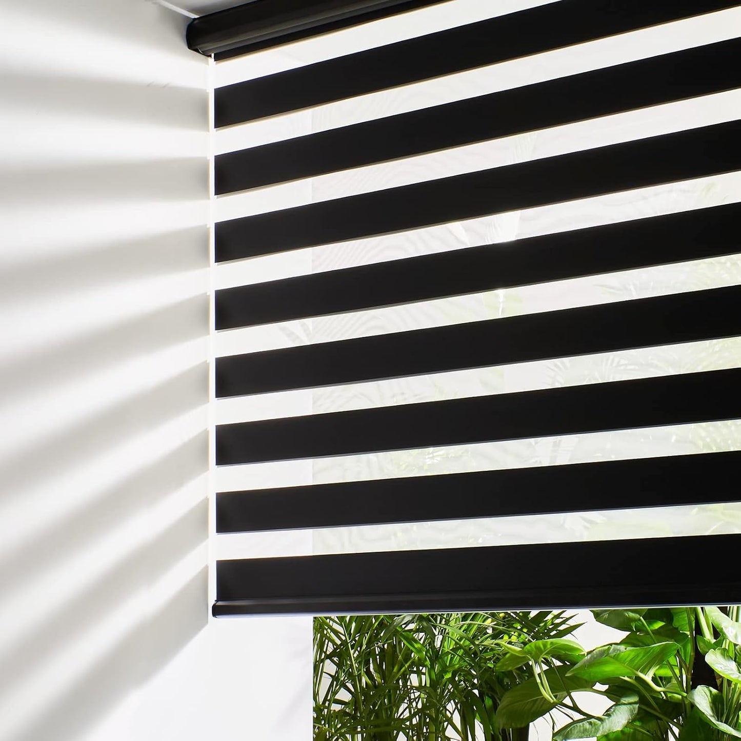 Persilux Cordless Zebra Blinds for Windows Free-Stop Roller Windows Shades (34" W X 72" H, Black) Dual Layer Light Control for Day and Night, Light Filtering Sheer Shades for Home, Easy to Install