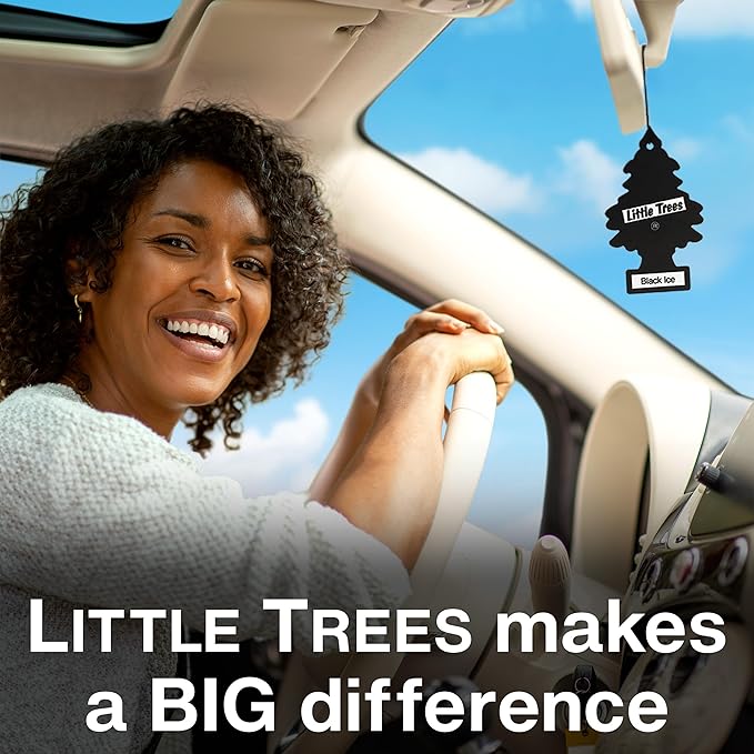 LITTLE TREES Car Air Freshener | Hanging Tree Provides Long Lasting Scent for Auto and Home | Warm Pumpkin Spice, 24 Air Fresheners