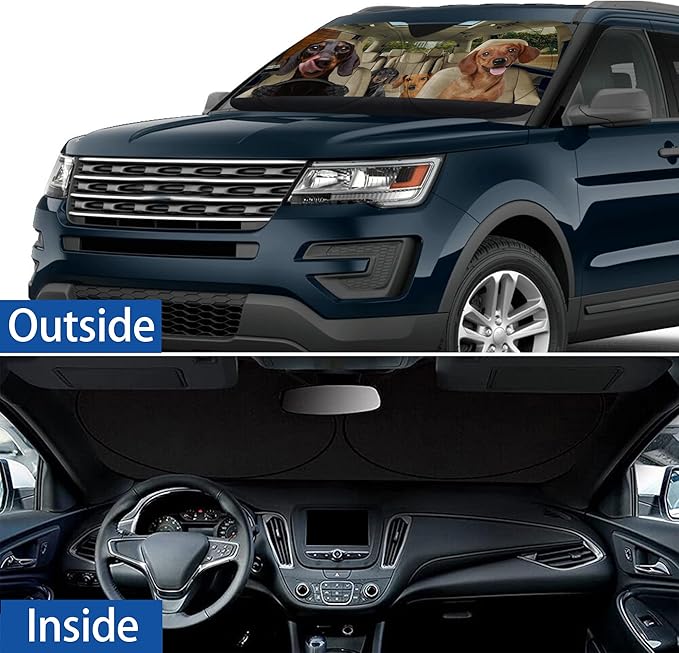 Dachshund Dog Windshield Sunshade for Car SUV Truck Foldable Uv Ray Reflector Front Window Sun Shade Visor Shield Cover -59" X 31"