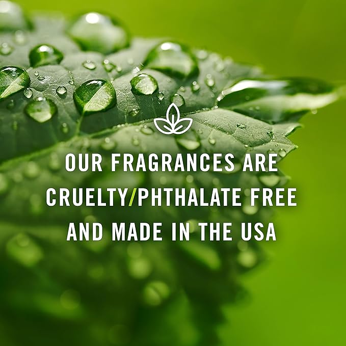 P&J Trading - Cinnamon Scented Oil 100ml - Fragrance Oil for Candle Making, Soap Making, Diffuser Oil
