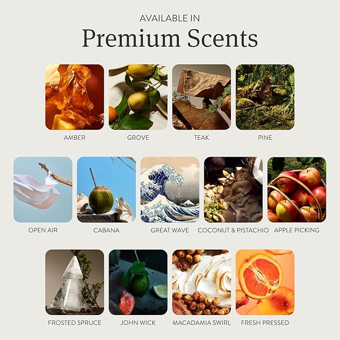 Drift Car Air Freshener - Stone Air Freshener - Car Odor Eliminator - Apple Picking Scent Starter Kit