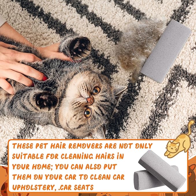 Abbylike 3 Pcs Pet Hair Remover Pumice Stone Car Pet Hair Removal Tool for Bedding Carpet Couch Furniture Cleaning (5.3 x 2 x 1.4 Inch,Gray)