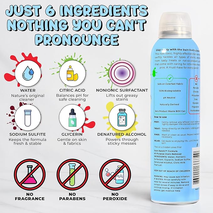 Stain Remover Spray | Non-Toxic Stain Remover Family Safe Formula | Bag-On-Valve 360° Continuous Spray Bottle | Cleaner for Clothes, Upholstery, Carpet & Car Seats 4.2 Oz, (Pack of 2)